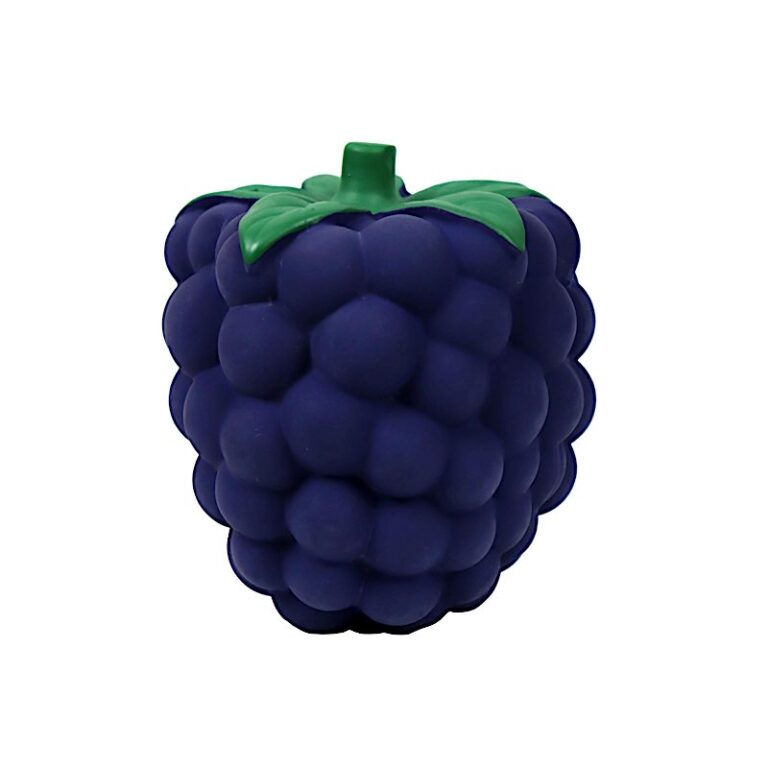 Fruit awakening sensory toy