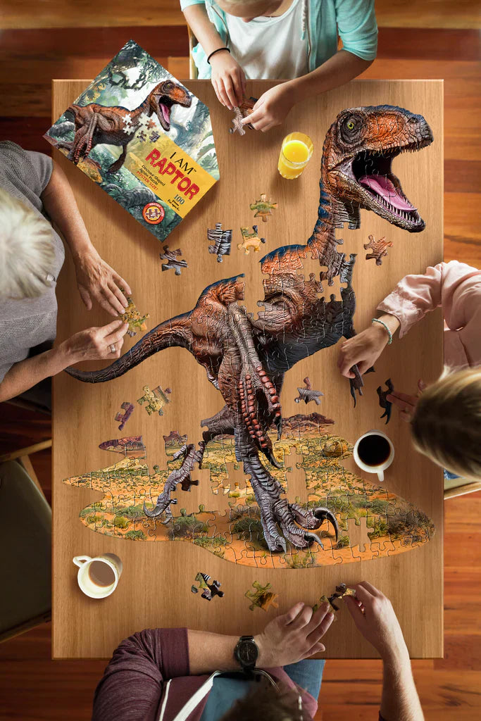 puzzle i am lil raptor madd capp