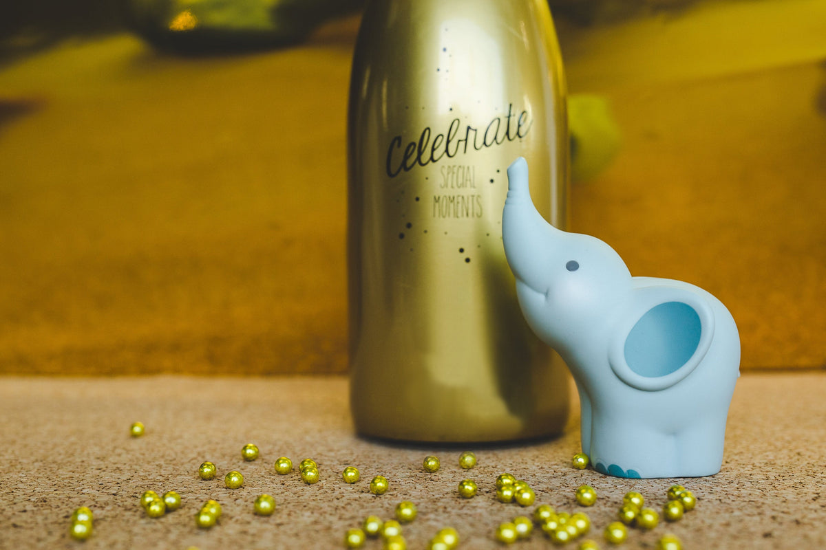 Money box Balthazar
