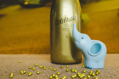 Money box Balthazar