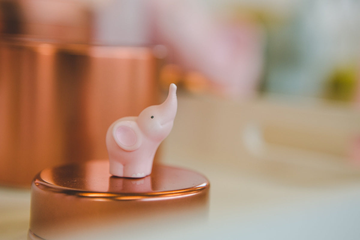 Money box Balthazar