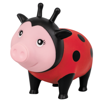 Cochon Coccinelle