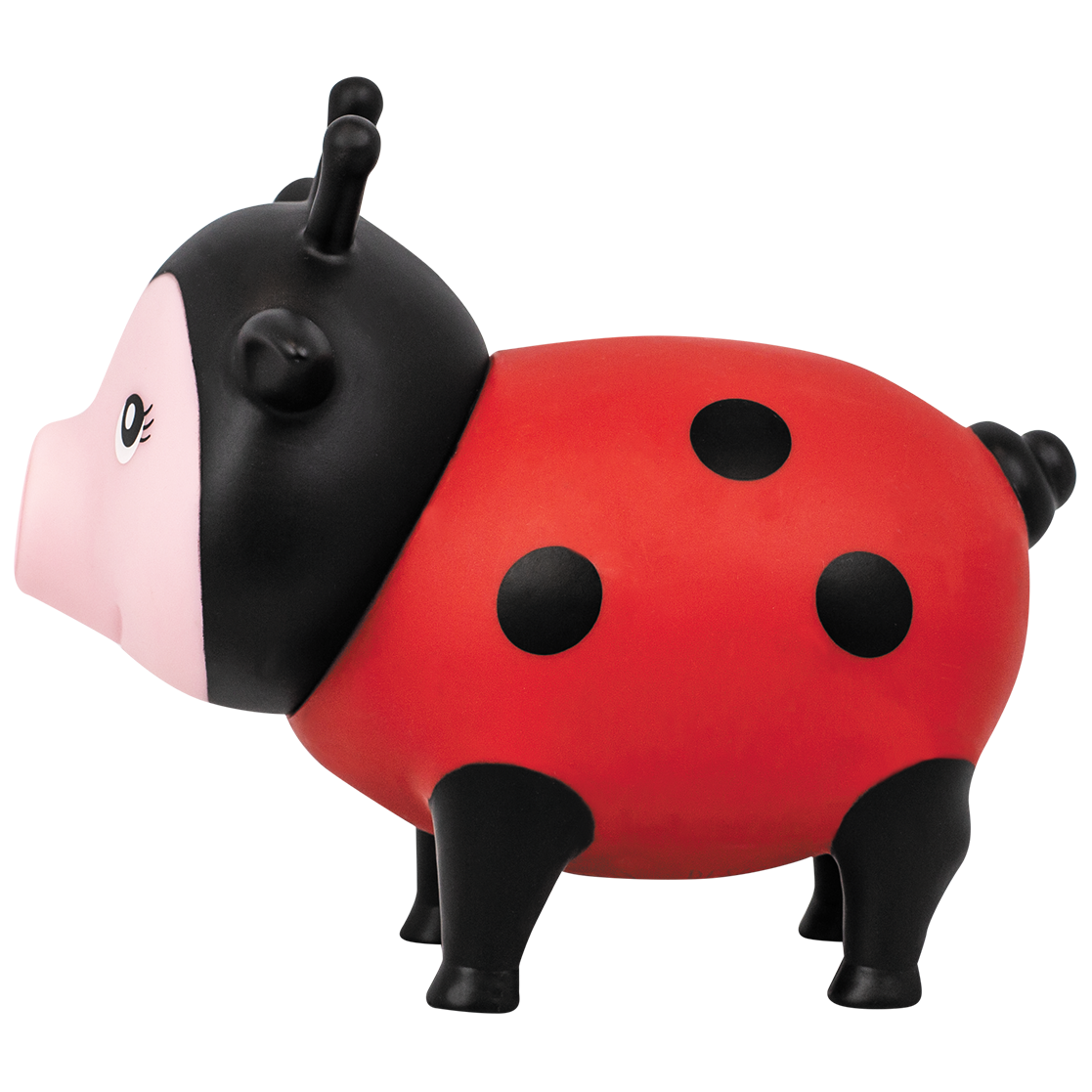 Cochon Coccinelle