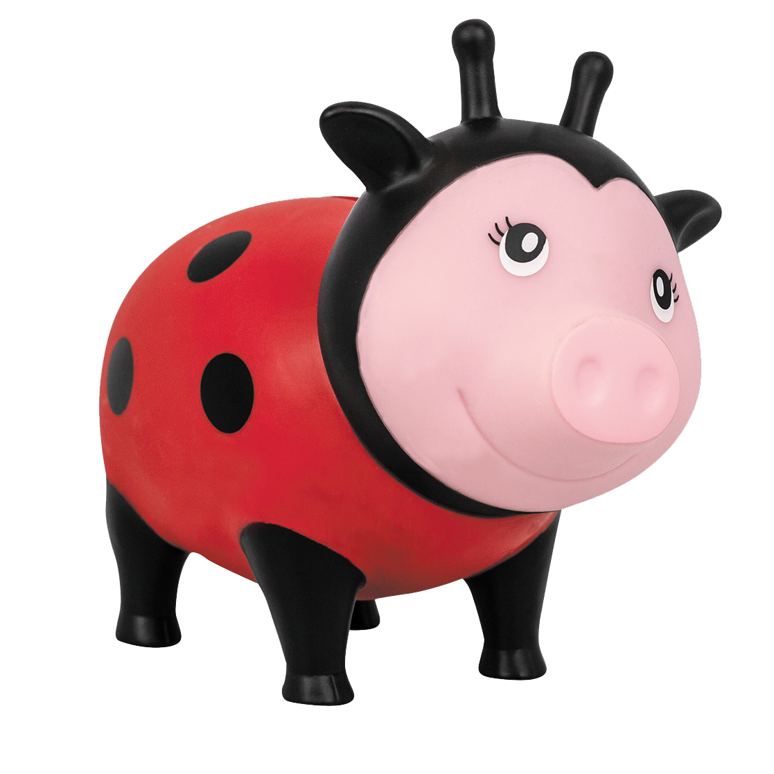 Cochon Coccinelle