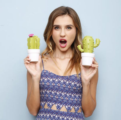 Kaktus-Blumen-Nachtlicht