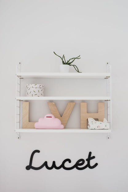Piggy bank Dreams
