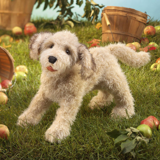 Marionnette à main Labradoodle 3136 Folkmanis réaliste