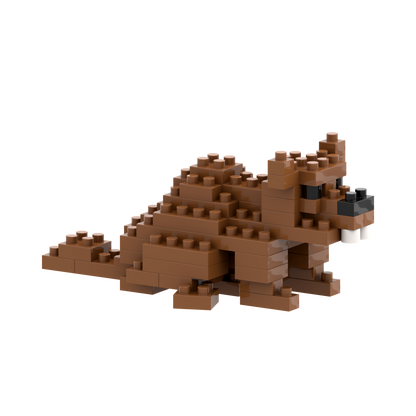 BRIXIES Castor
