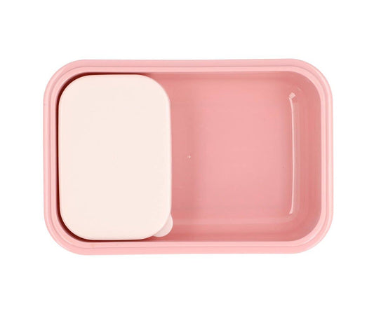 Insekten-Bento-Lunchbox