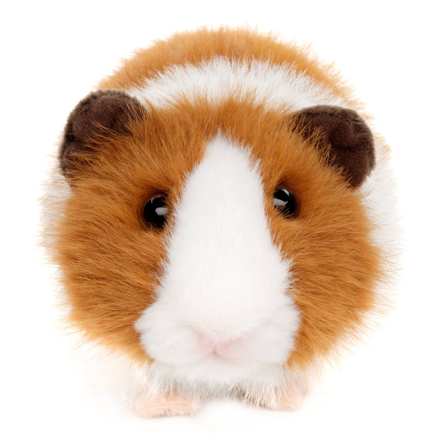 Meerschweinchen-Plüschtier (braun)