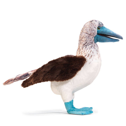 Marionnette à main Fou à pieds bleus 3223/ Fou à pieds bleus Folkmanis réaliste