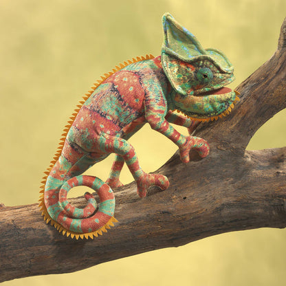 Marionnette à main Petit caméléon 3153/ petit caméléon Folkmanis réaliste