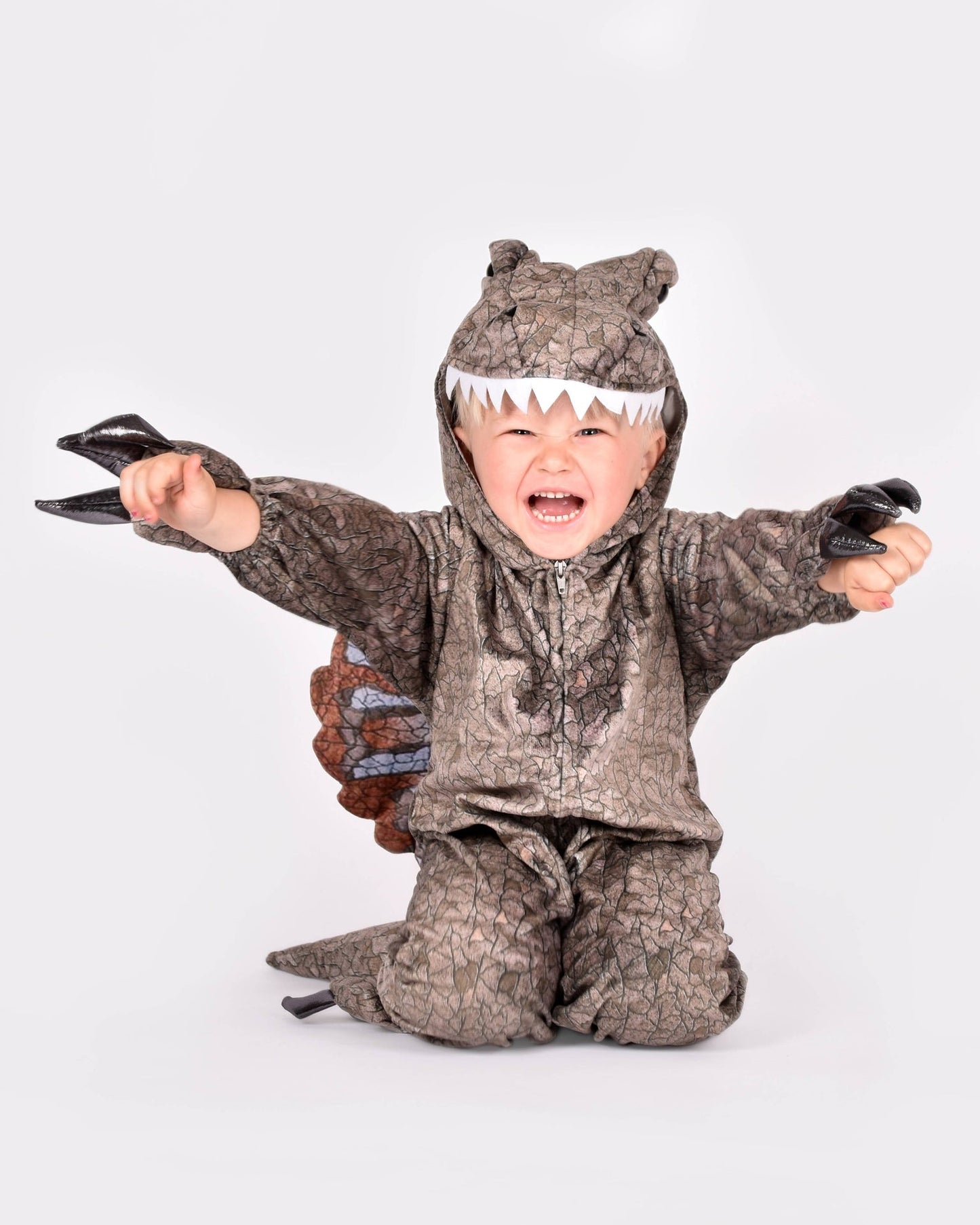 Dinosaur Spinosaurus Costume 98-104 cm 2-4 years