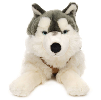Husky-Plüschtier, liegend (mit Geschirr)