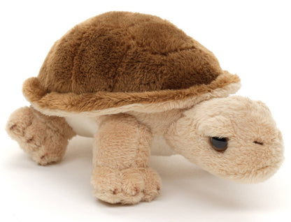 Schildkrötenplüschtier