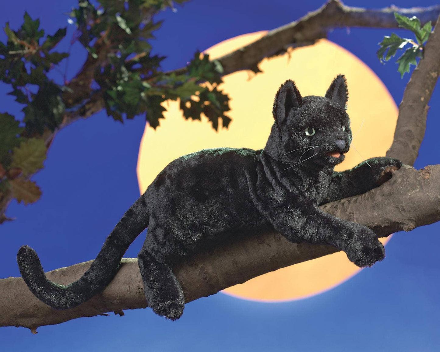 Marionnette à main Chat noir 2987/ Chat noir Folkmanis réaliste