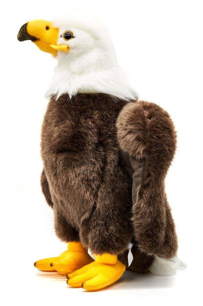 Peluche Aigle à tête blanche