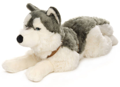 Husky-Plüschtier, liegend (mit Geschirr)