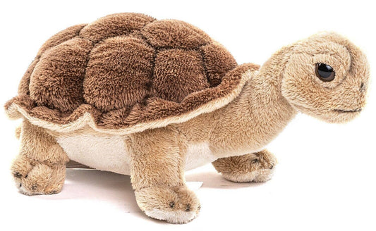 Peluche Tortue
