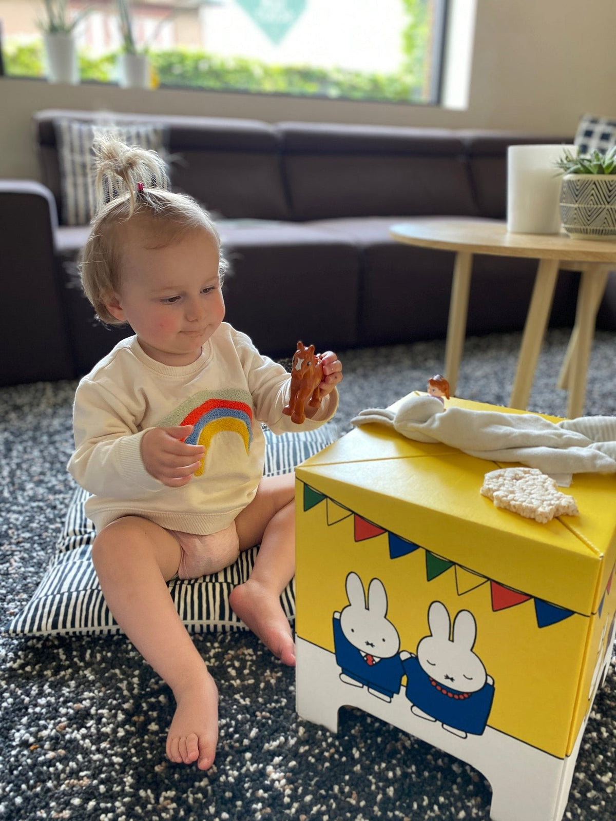 Miffy Hasen-Papphocker 