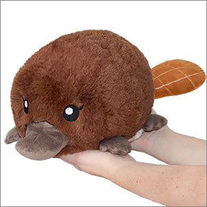 Mini Squishable Schnabeltier Baby