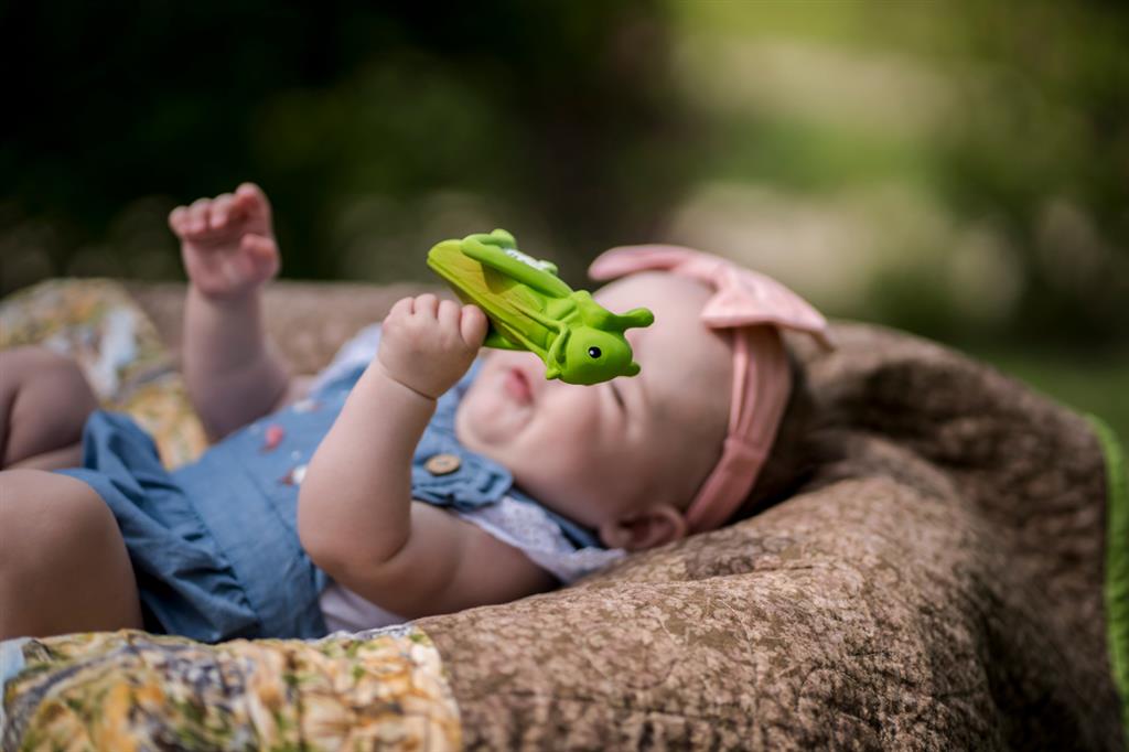 Meine ersten Gartentiere