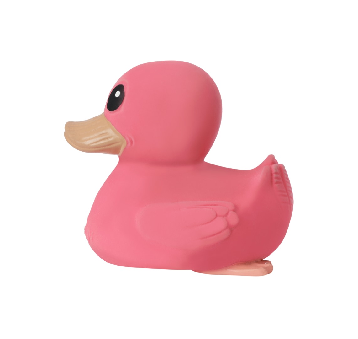 Mini Friends Canard Rose