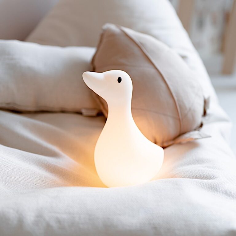 Liva l'Oie rechargeable night light