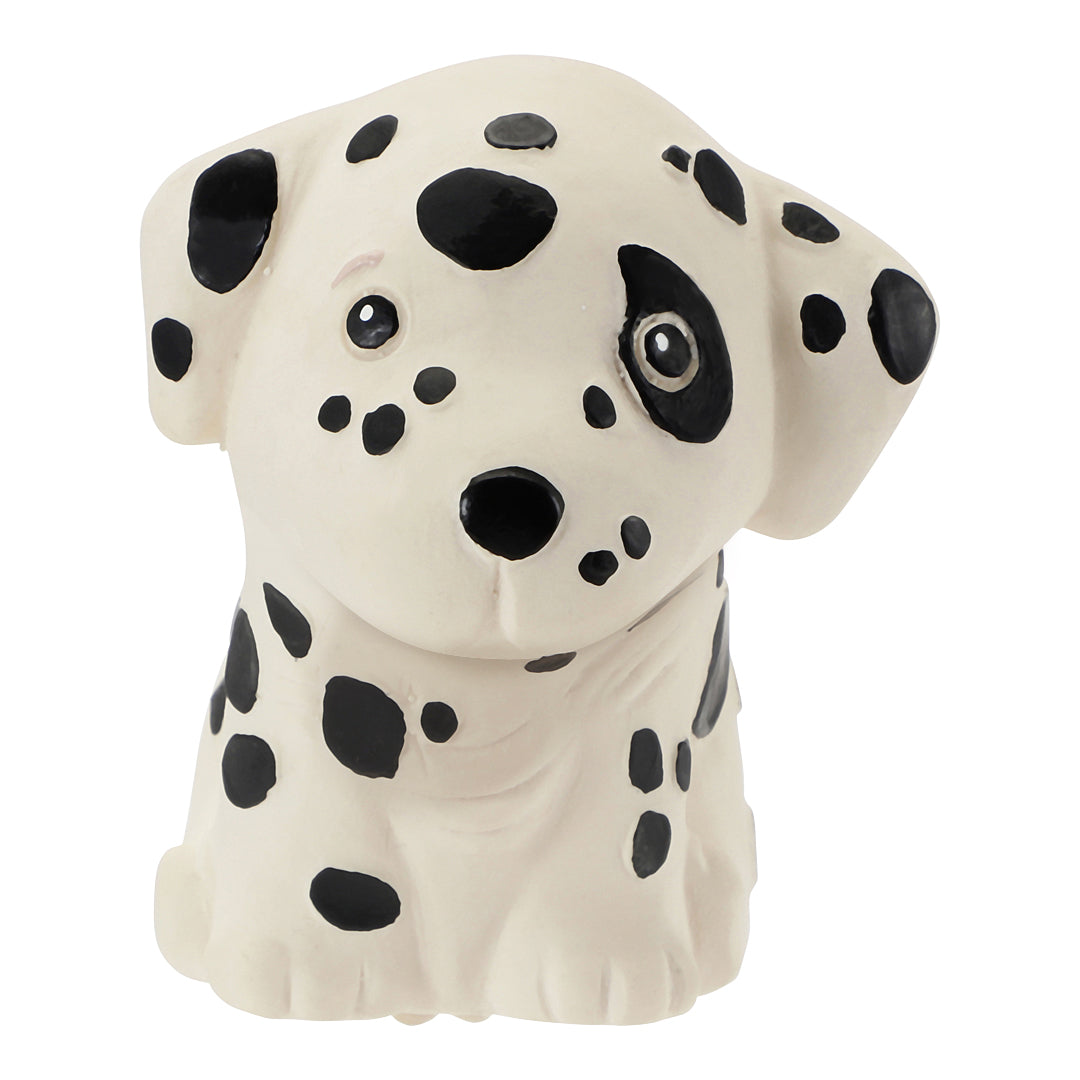 Dalmatien Hevea - OFCK.fr