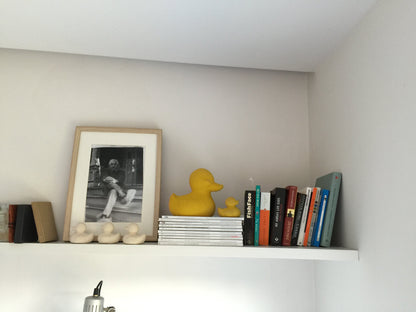 Elvis the Yellow Duck