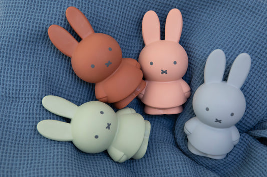 Tirelire Miffy Warm Edition S